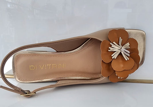 Di Vitrini Veneto Amendoa 69218