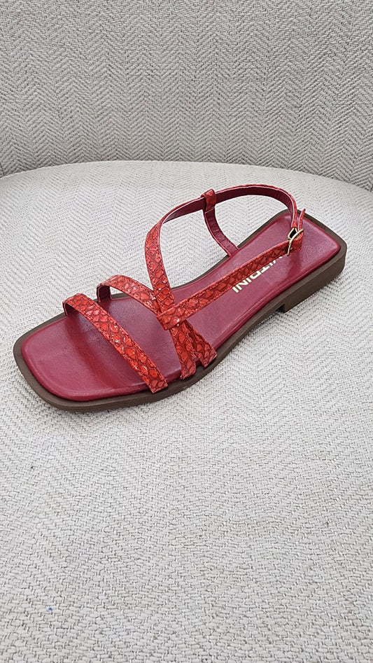 Di Vitrini Cobra Vermelho 74803